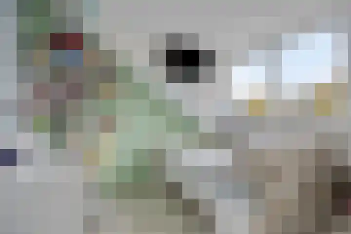 Weegbreelaan 11 Zoeterwoude thumbnail 37