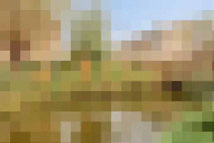 Weegbreelaan 11 Zoeterwoude thumbnail 40