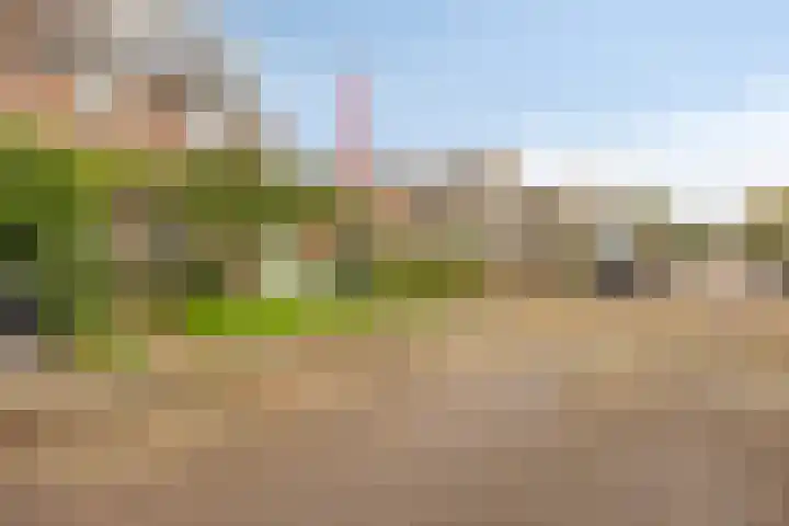 Weegbreelaan 11 Zoeterwoude thumbnail 6