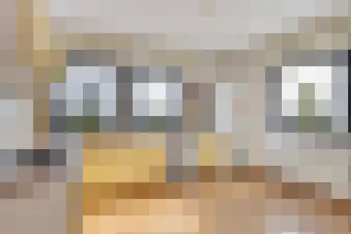 Weegbreelaan 4 Arnemuiden thumbnail 11