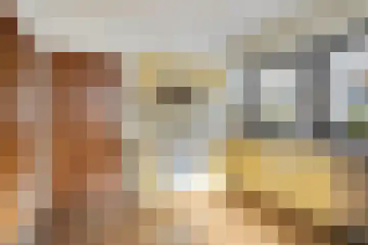 Weegbreelaan 4 Arnemuiden thumbnail 12