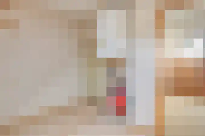 Weegbreelaan 4 Arnemuiden thumbnail 20