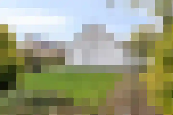 Weegbreelaan 4 Arnemuiden thumbnail 25