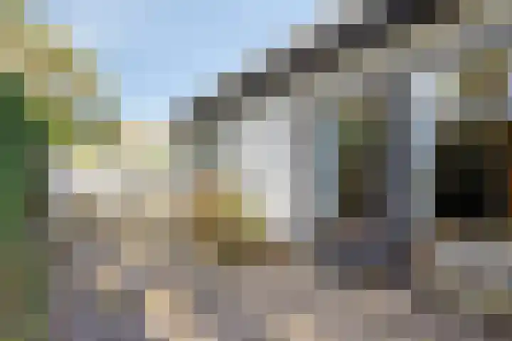 Weegbreelaan 4 Arnemuiden thumbnail 27