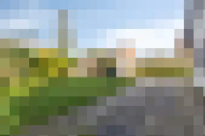 Weegbreelaan 4 Arnemuiden thumbnail 28