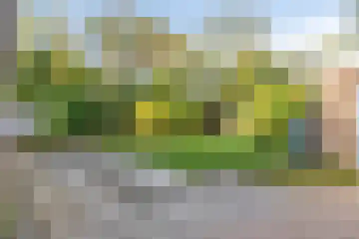 Weegbreelaan 4 Arnemuiden thumbnail 29
