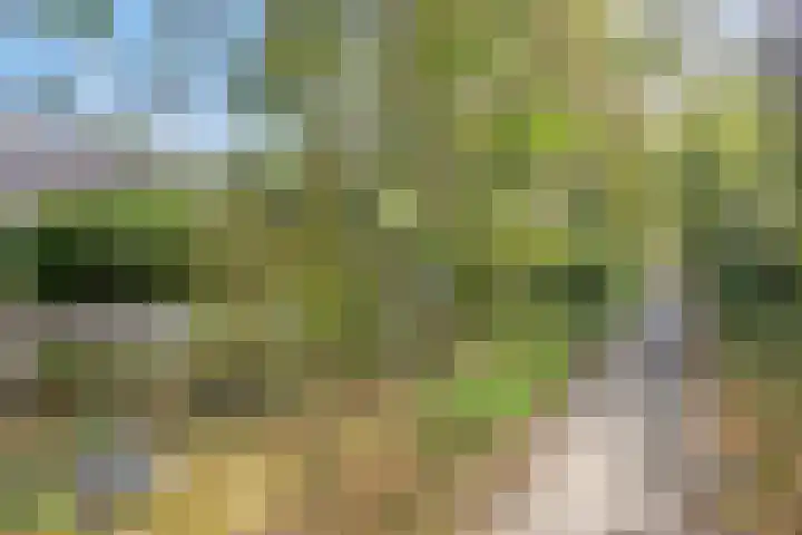 Weegbreelaan 4 Arnemuiden thumbnail 31