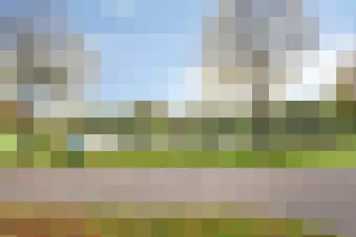 Weegbreelaan 4 Arnemuiden thumbnail 32