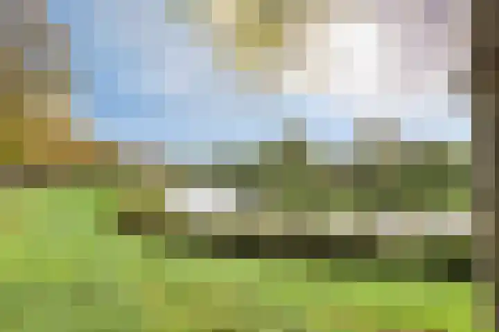 Weegbreelaan 4 Arnemuiden thumbnail 33