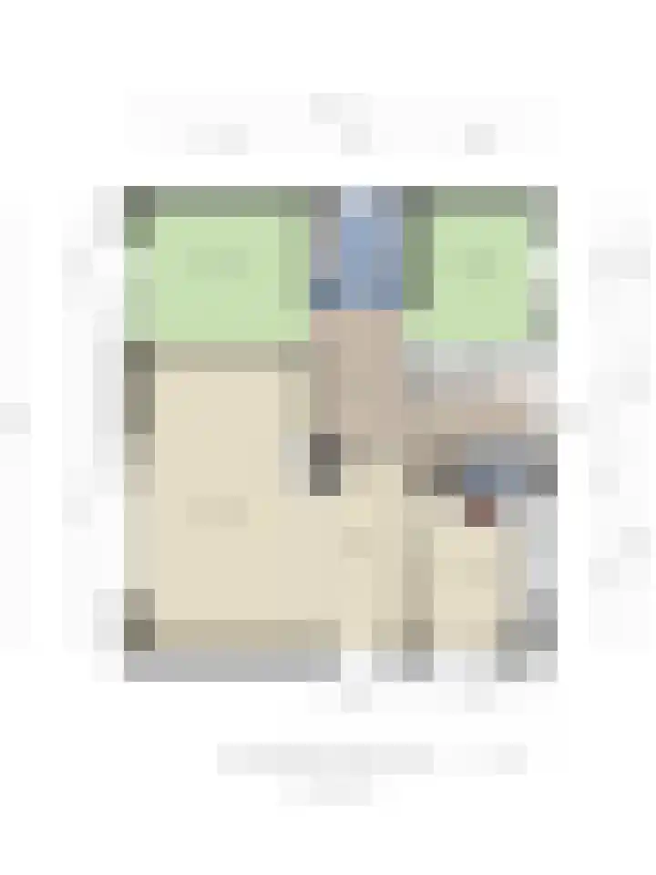 Weegbreelaan 4 Arnemuiden thumbnail 34