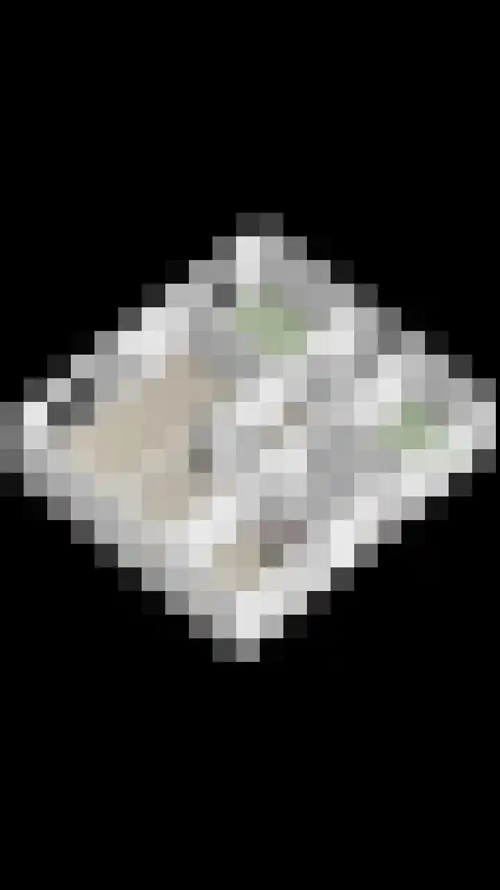 Weegbreelaan 4 Arnemuiden thumbnail 39