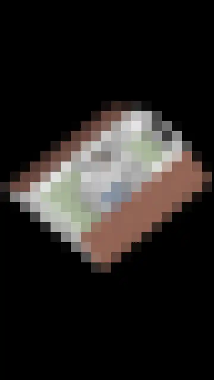 Weegbreelaan 4 Arnemuiden thumbnail 40