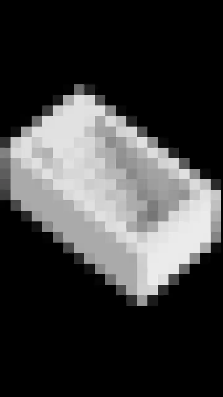 Weegbreelaan 4 Arnemuiden thumbnail 41