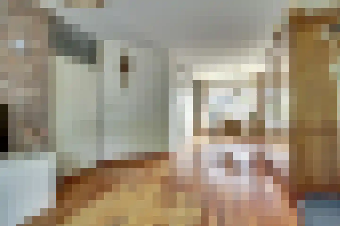 Weegbreelaan 5 Arnemuiden thumbnail 14