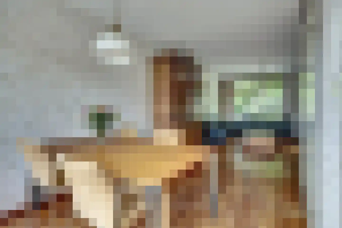 Weegbreelaan 5 Arnemuiden thumbnail 16