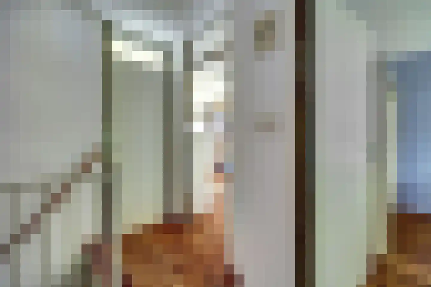 Weegbreelaan 5 Arnemuiden thumbnail 22