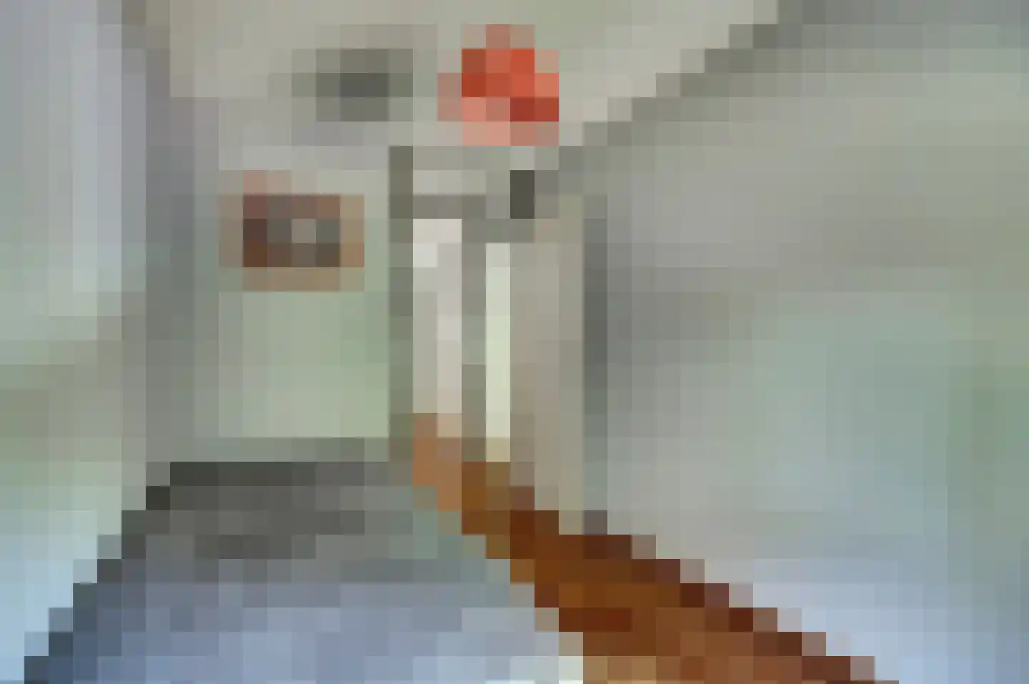 Weegbreelaan 5 Arnemuiden thumbnail 31
