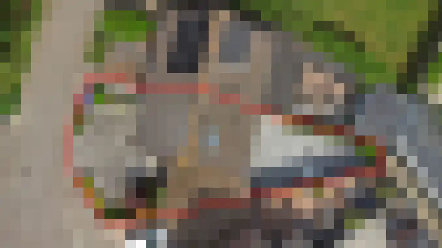 Weegbreelaan 5 Arnemuiden thumbnail 40