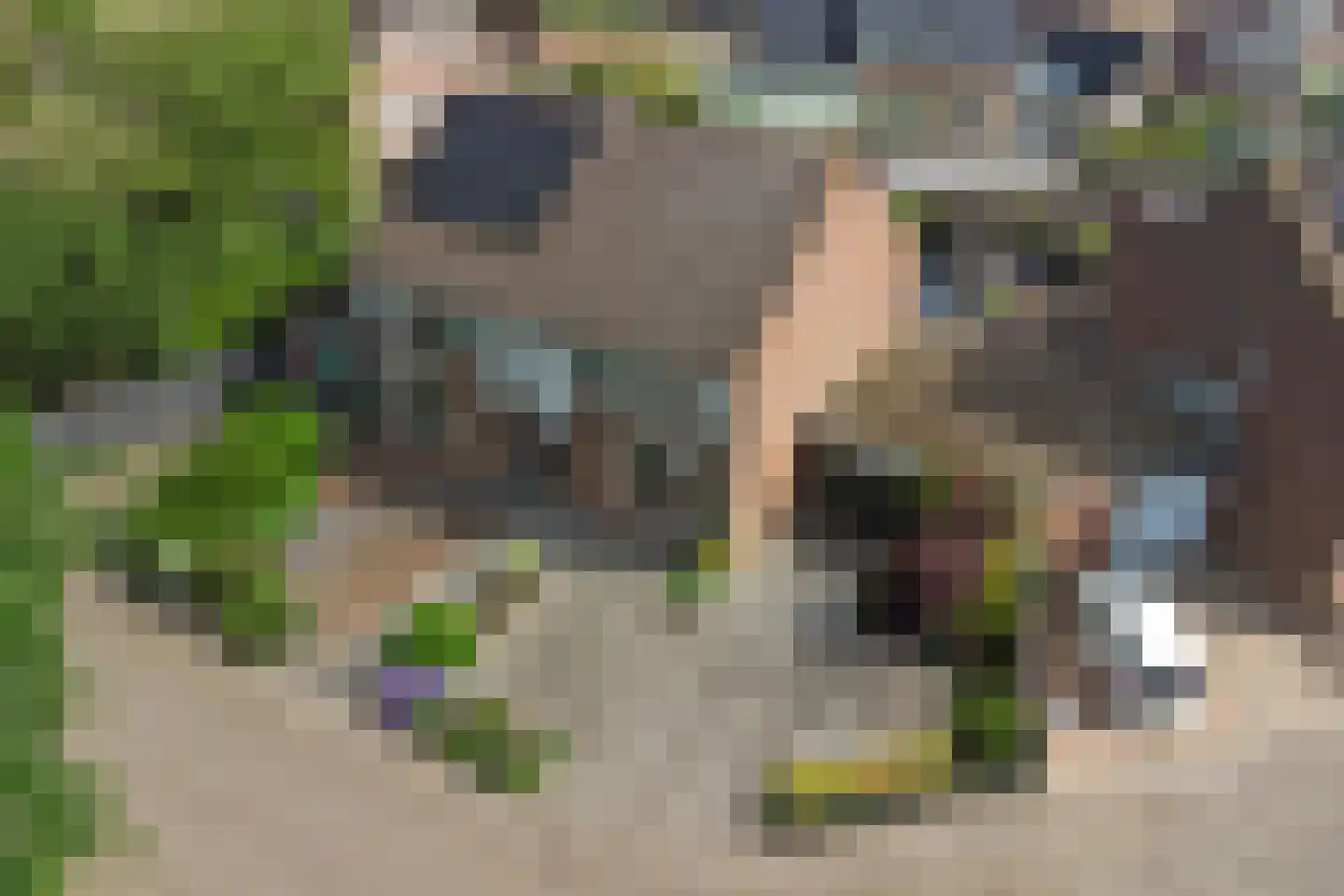 Weegbreelaan 5 Arnemuiden thumbnail 41