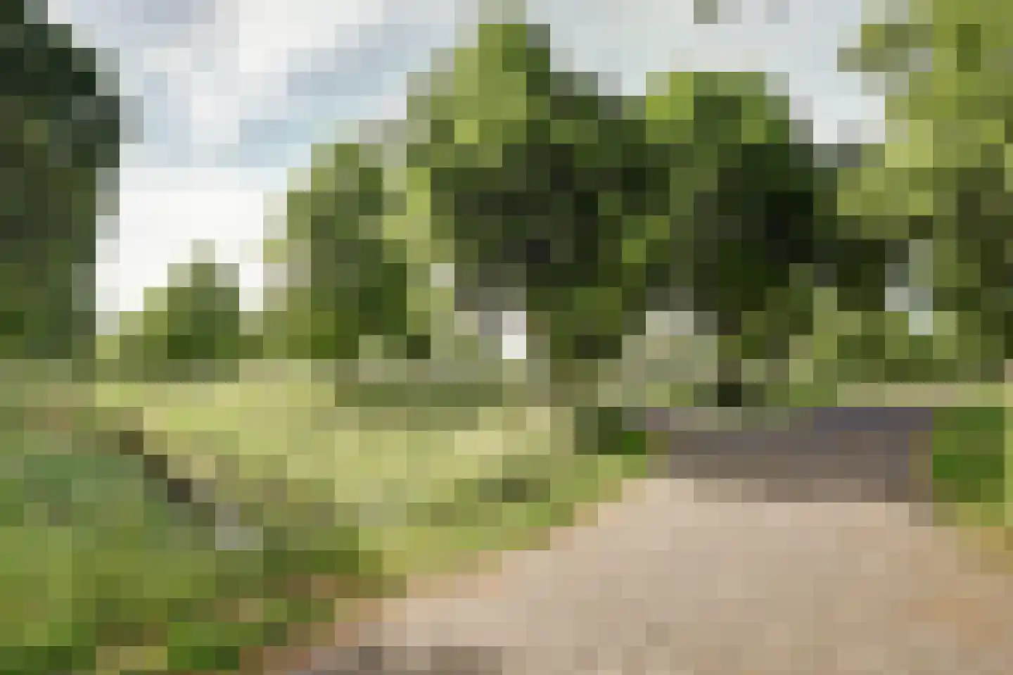 Weegbreelaan 5 Arnemuiden thumbnail 44