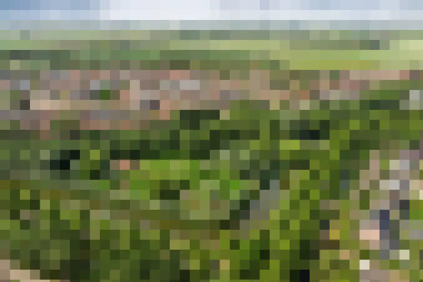 Weegbreelaan 5 Arnemuiden thumbnail 45