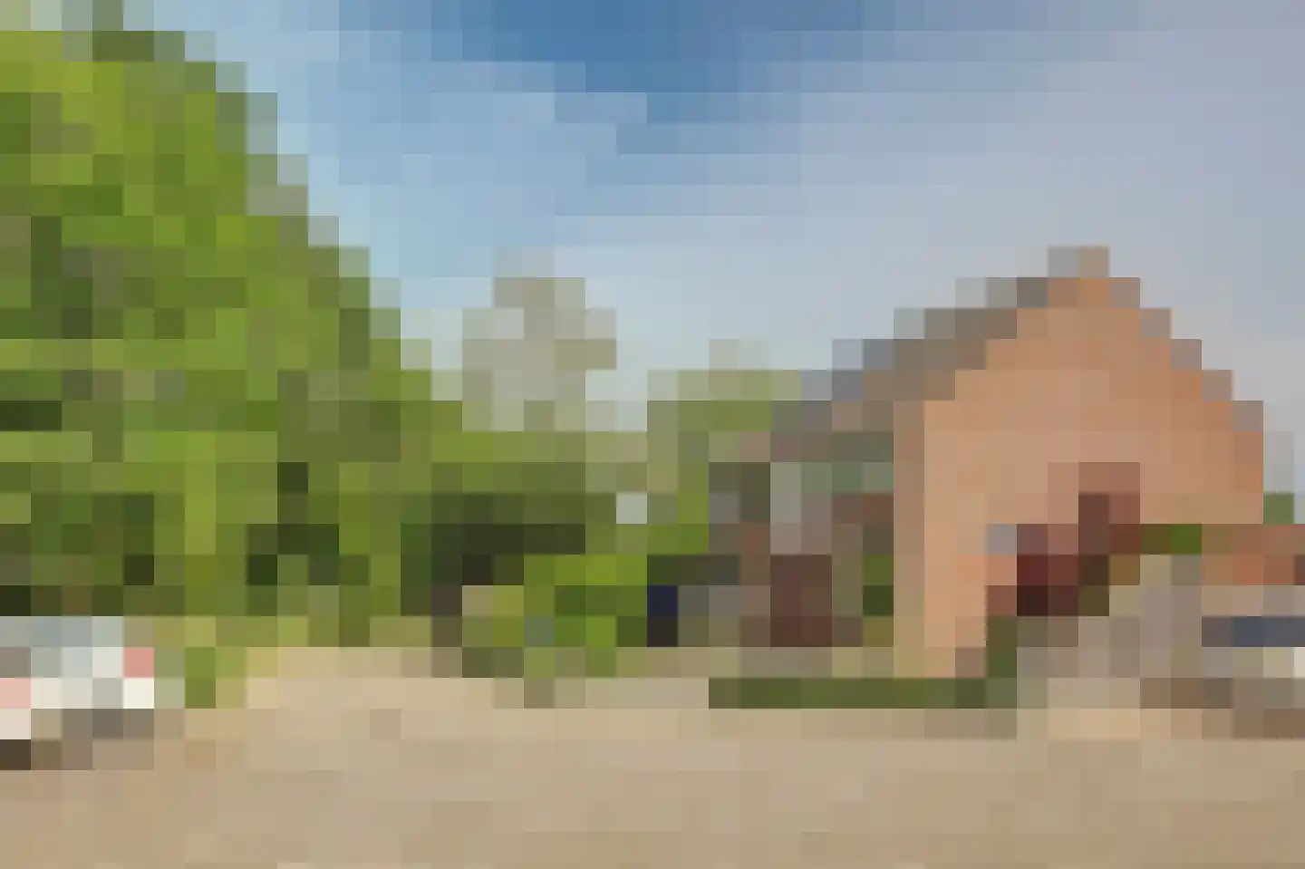 Weegbreelaan 5 Arnemuiden thumbnail 5