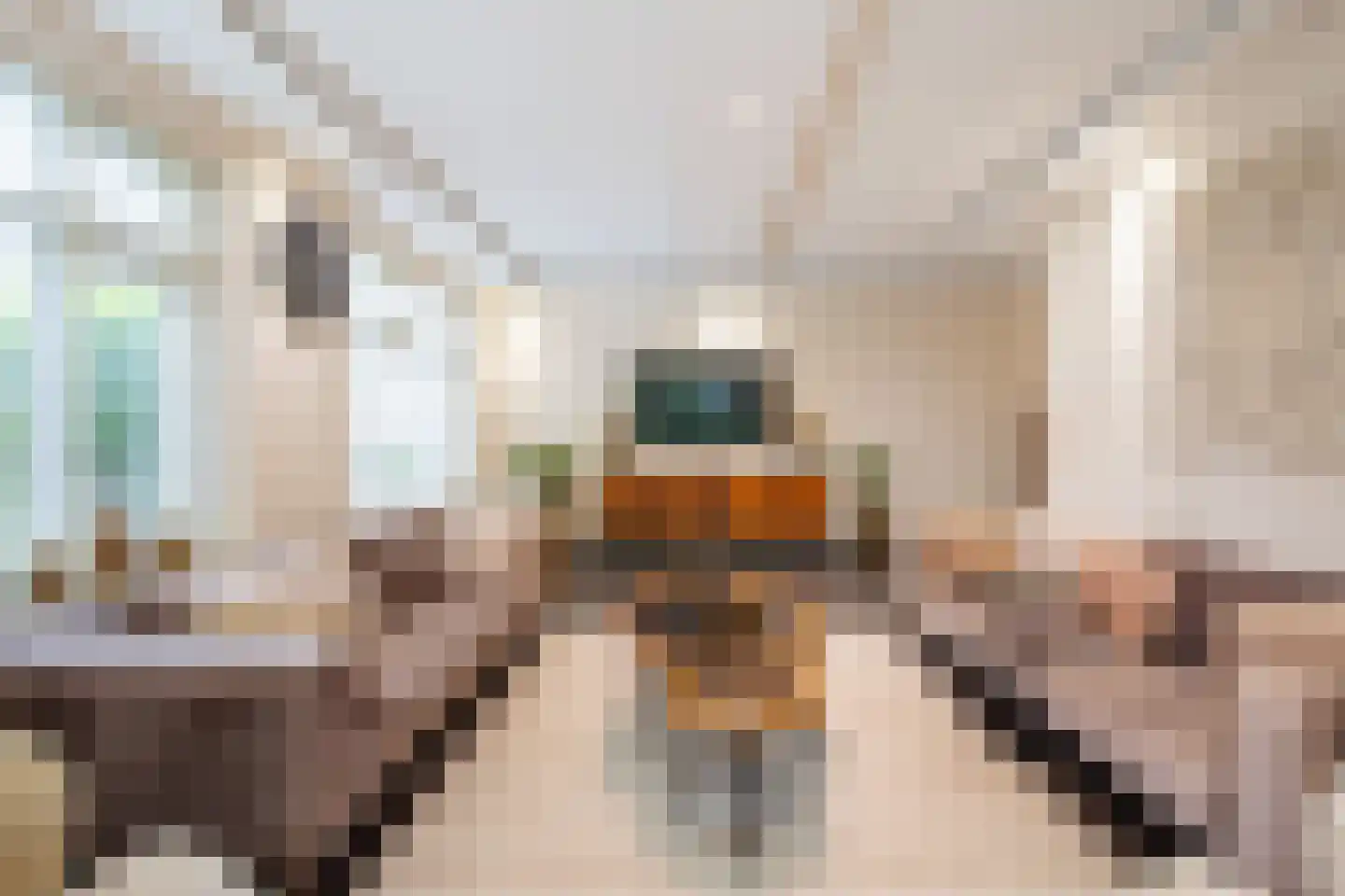 Weegbreemeen 2 Harderwijk thumbnail 10