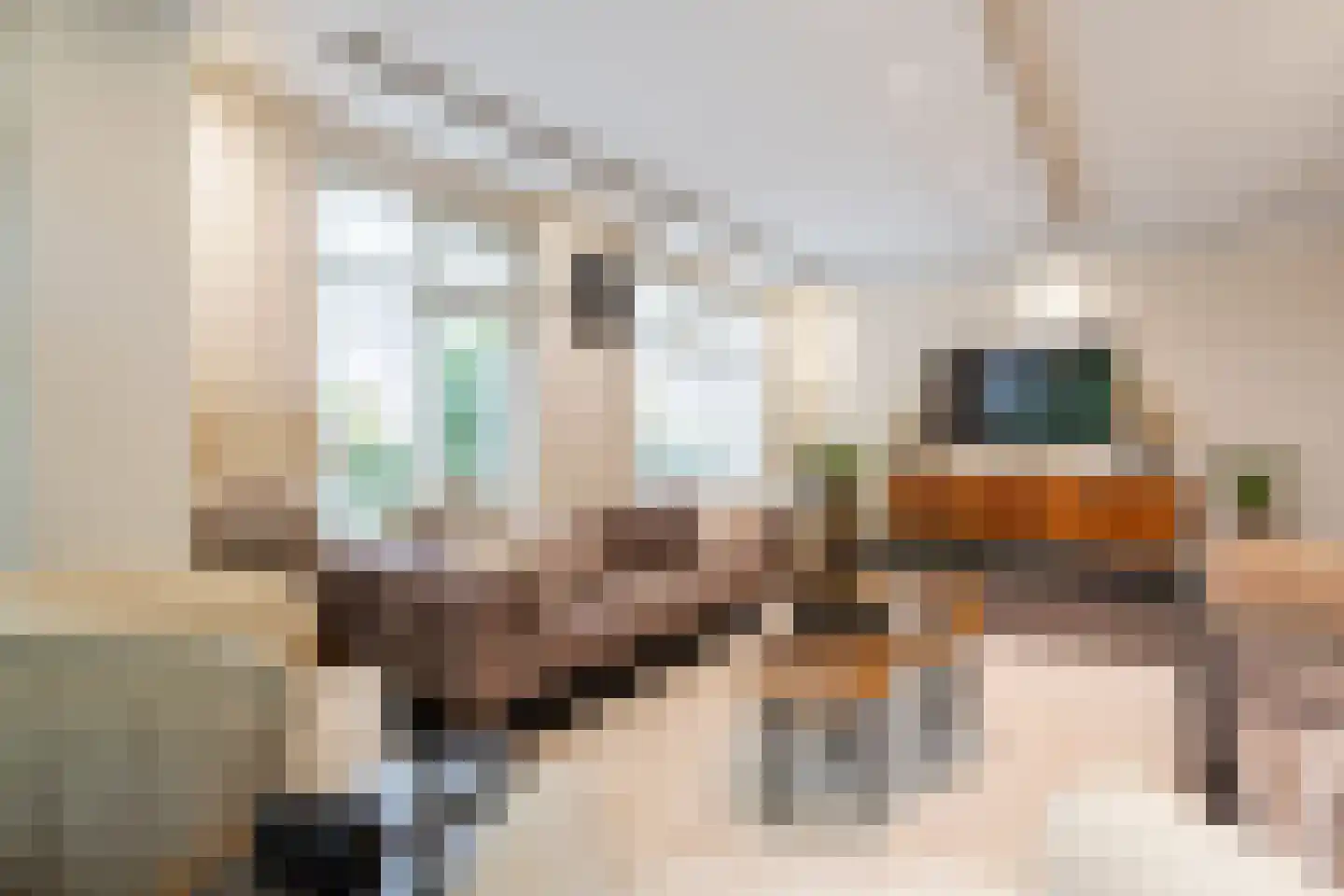Weegbreemeen 2 Harderwijk thumbnail 11
