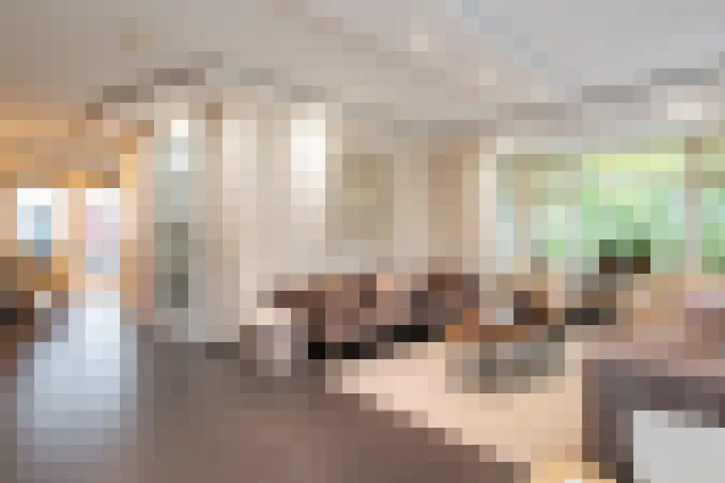 Weegbreemeen 2 Harderwijk thumbnail 12