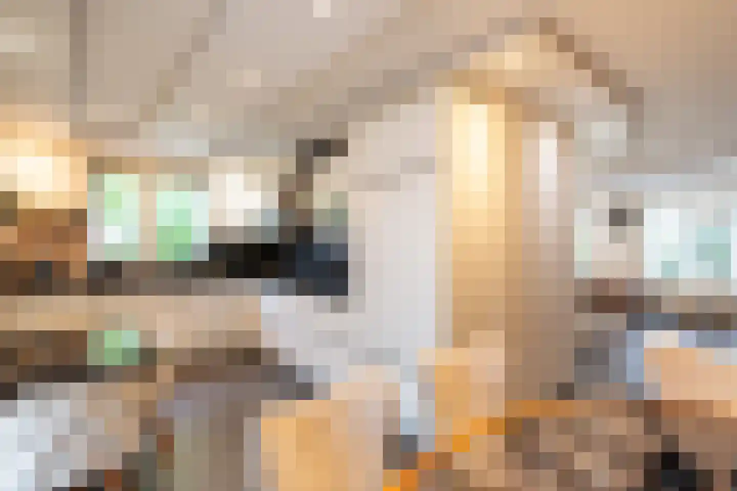 Weegbreemeen 2 Harderwijk thumbnail 16
