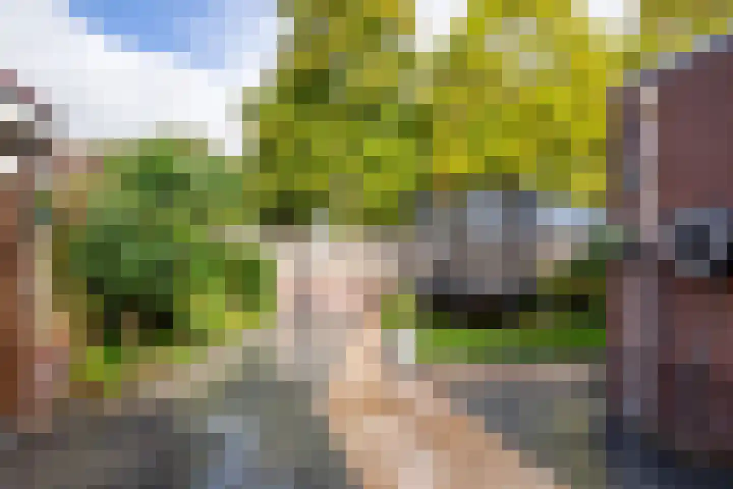 Weegbreemeen 2 Harderwijk thumbnail 34
