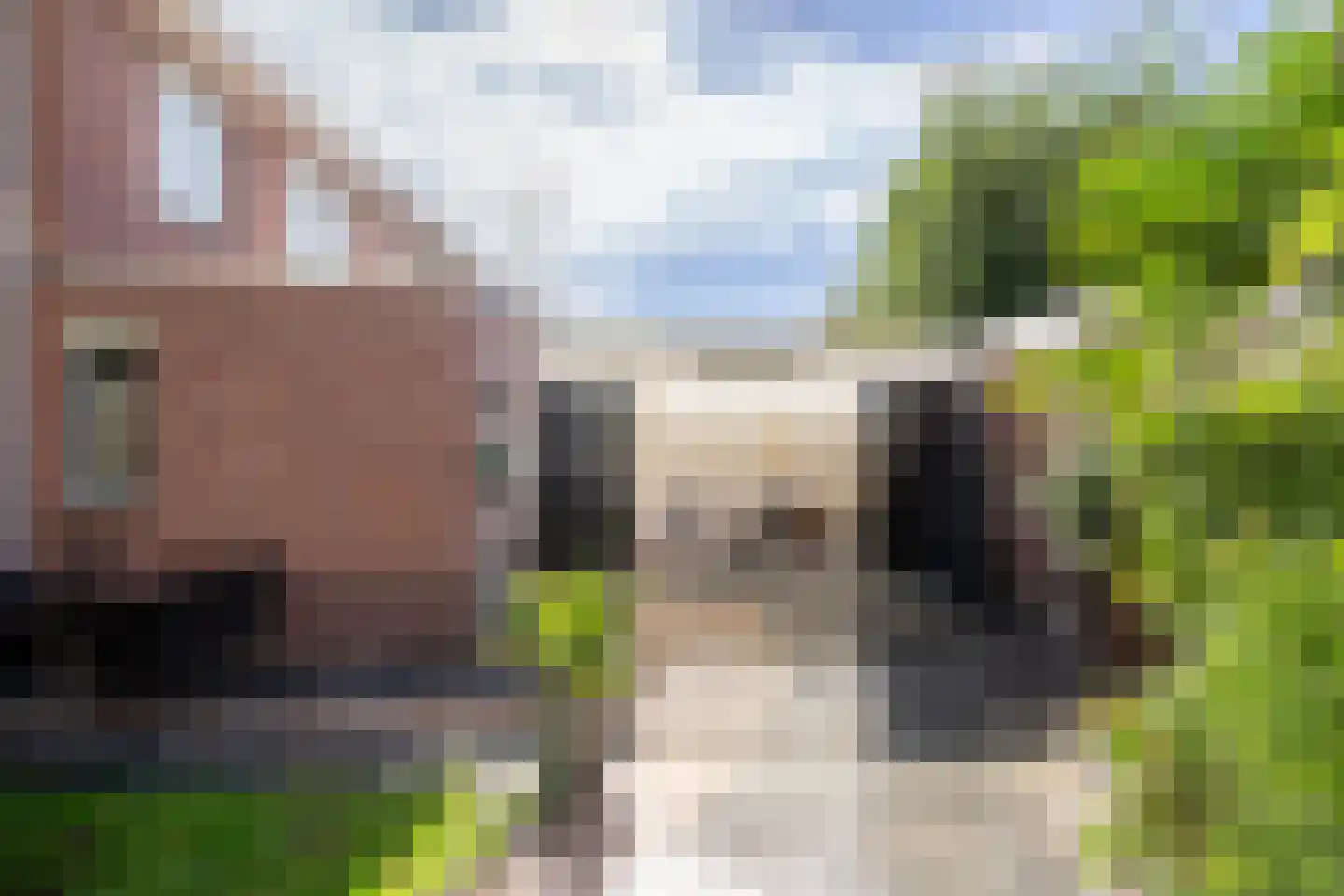 Weegbreemeen 2 Harderwijk thumbnail 35