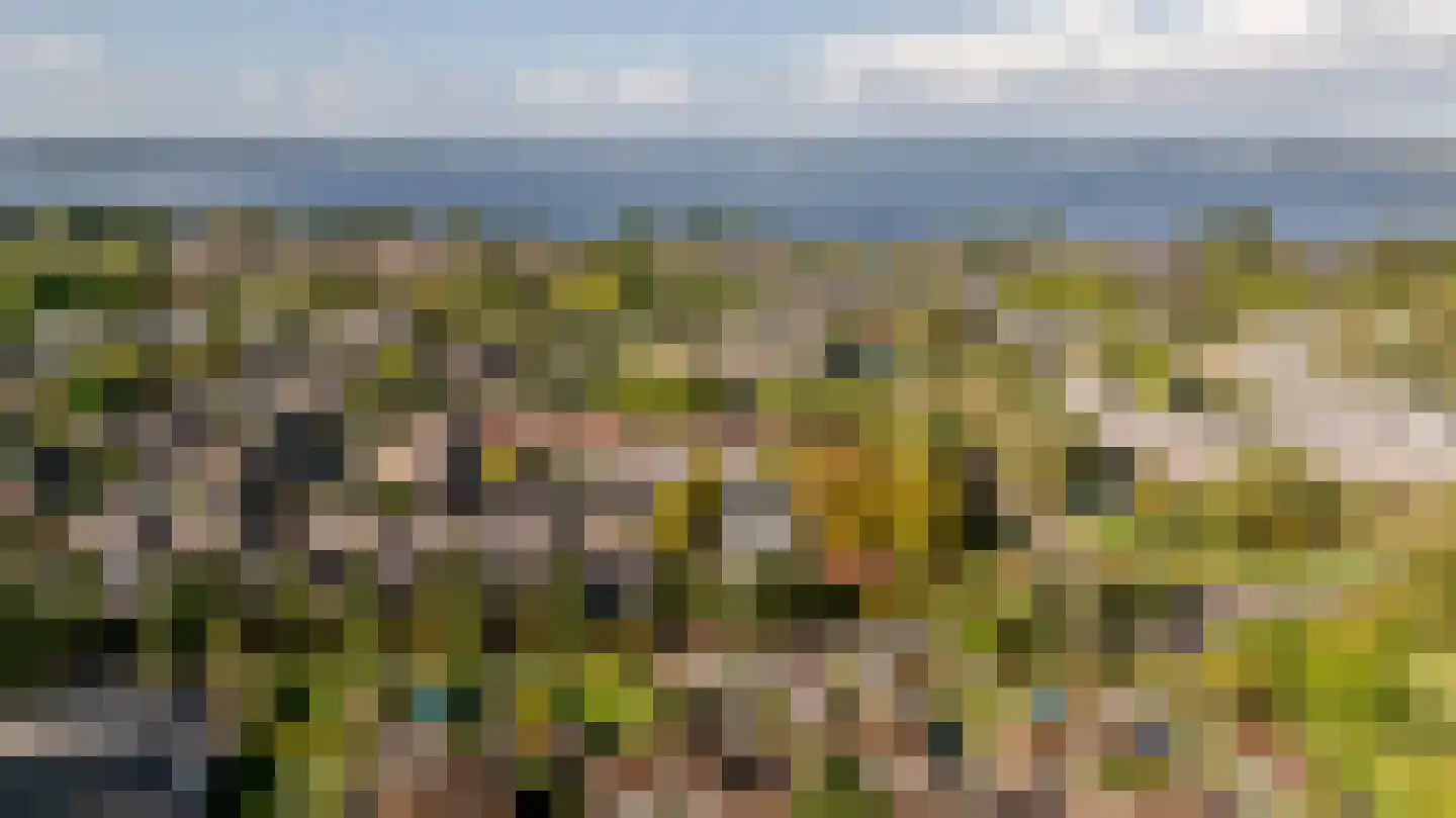 Weegbreemeen 2 Harderwijk thumbnail 44