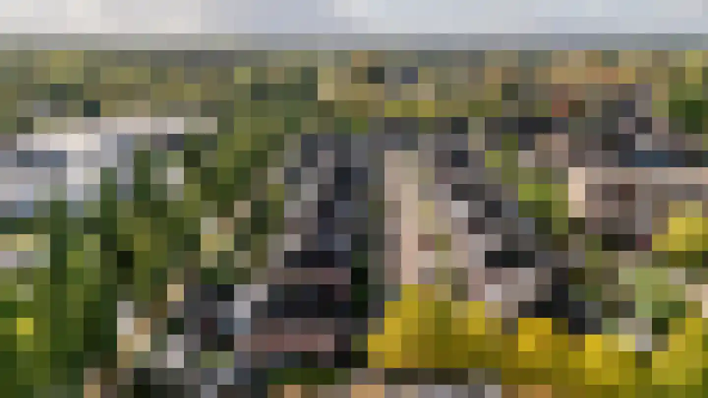 Weegbreemeen 2 Harderwijk thumbnail 46