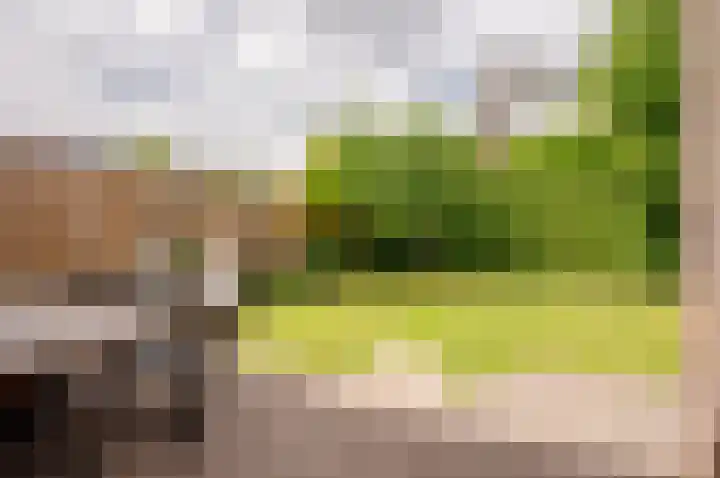 Weegbreemeen 22 Harderwijk thumbnail 27