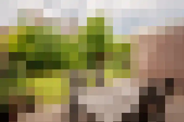 Weegbreemeen 22 Harderwijk thumbnail 28