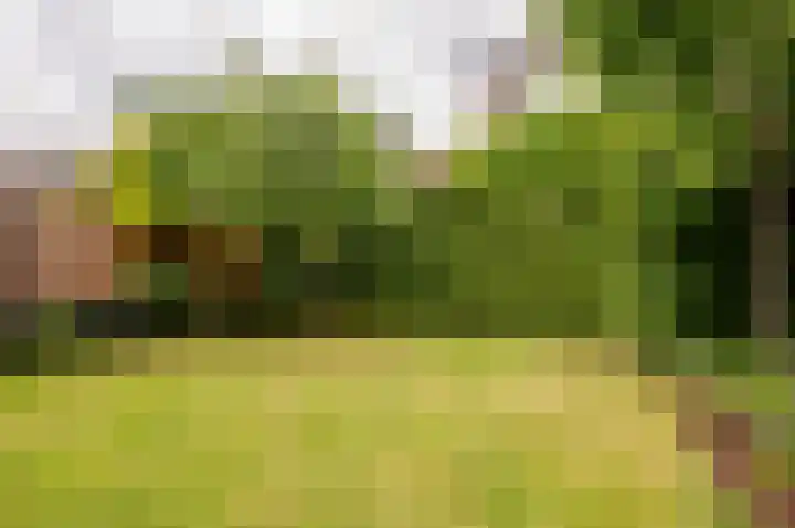 Weegbreemeen 22 Harderwijk thumbnail 29