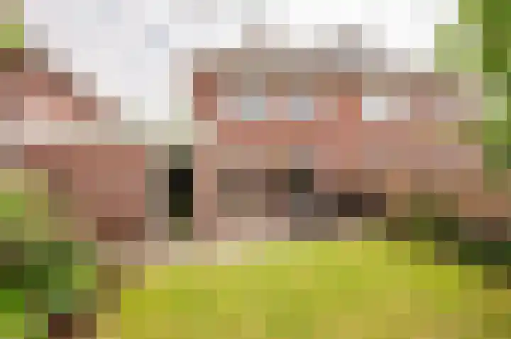 Weegbreemeen 22 Harderwijk thumbnail 30