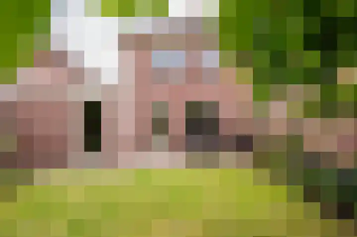 Weegbreemeen 22 Harderwijk thumbnail 31
