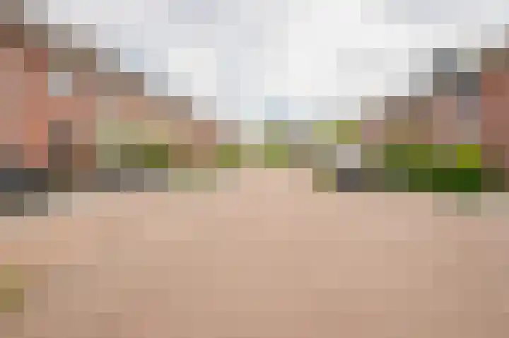 Weegbreemeen 22 Harderwijk thumbnail 36
