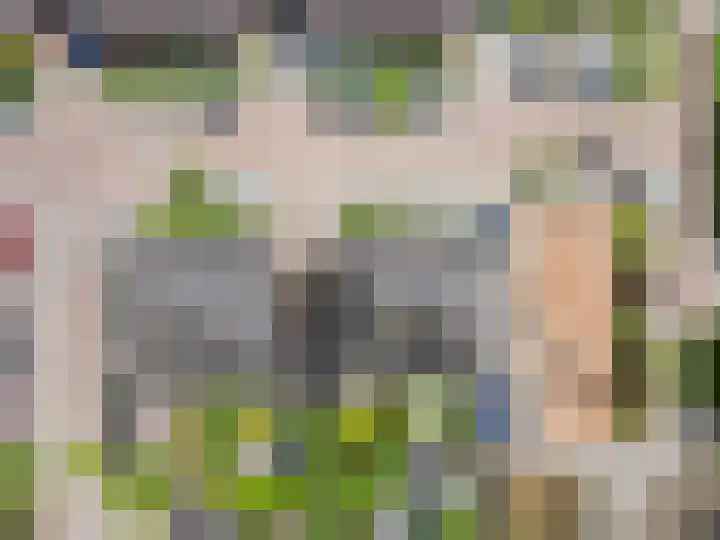 Weegbreemeen 22 Harderwijk thumbnail 38