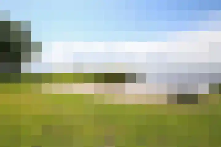 Weegbreemeen 22 Harderwijk thumbnail 39