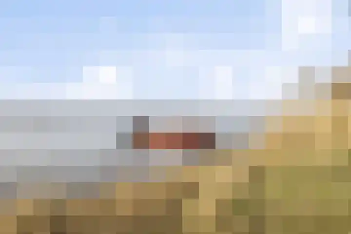 Weegbreemeen 22 Harderwijk thumbnail 40