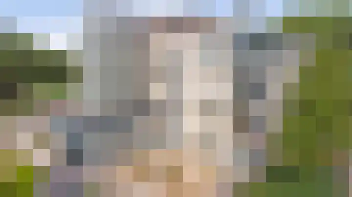Weegbreepad 16 Goes thumbnail 11