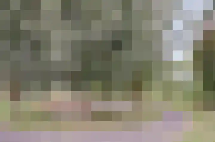 Weegbreepad 16 Goes thumbnail 28