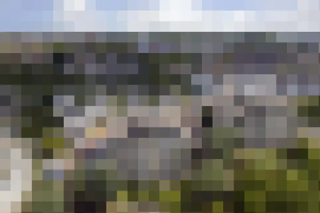 Weegbreepad 26 Goes thumbnail 26