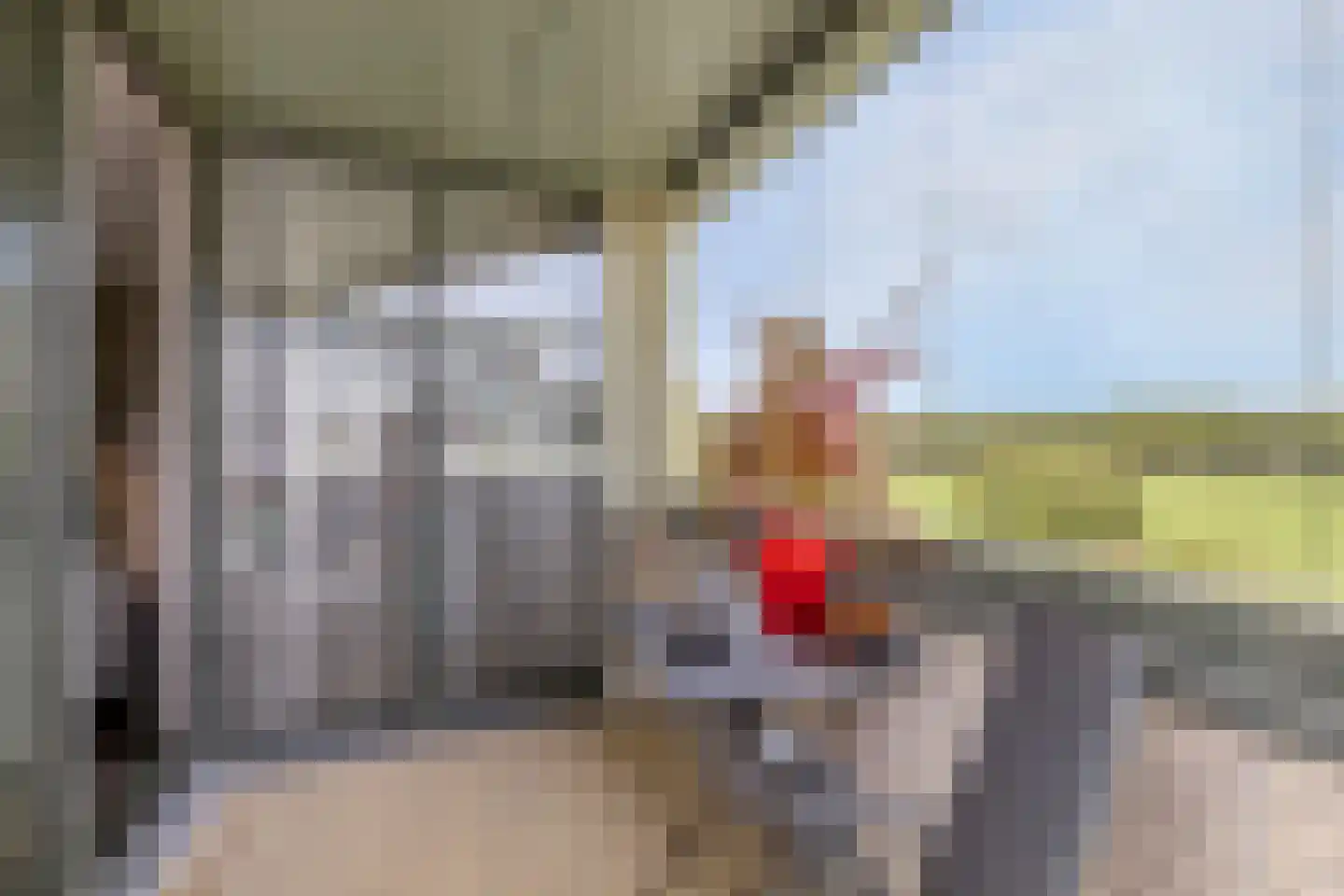 Weegbreepad 26 Goes foto 3