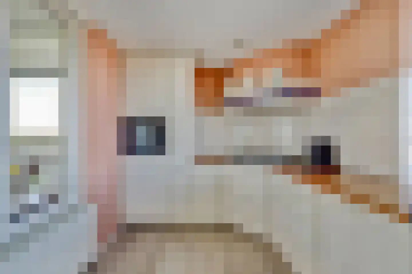 Weegbreepad 30 Goes thumbnail 20