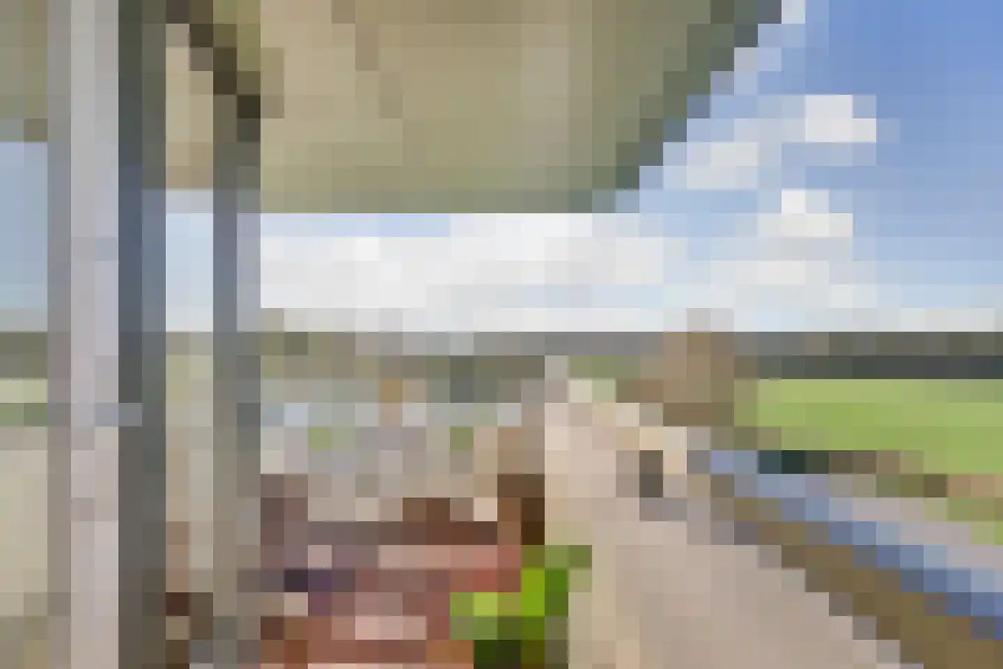 Weegbreepad 30 Goes thumbnail 29