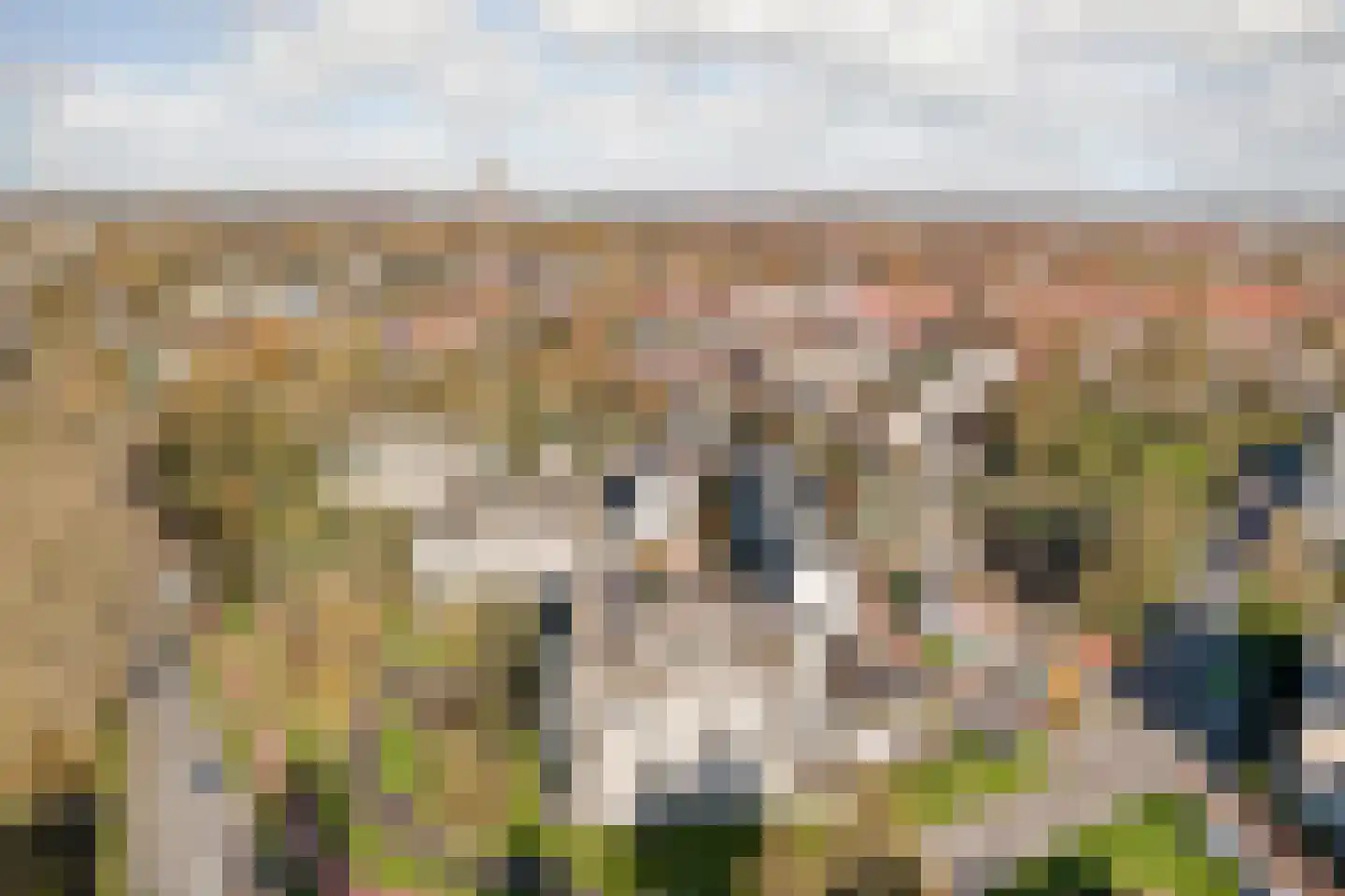 Weegbreepad 30 Goes thumbnail 40
